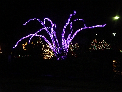 024 Toledo Zoo Light Show [2008 Dec 27]